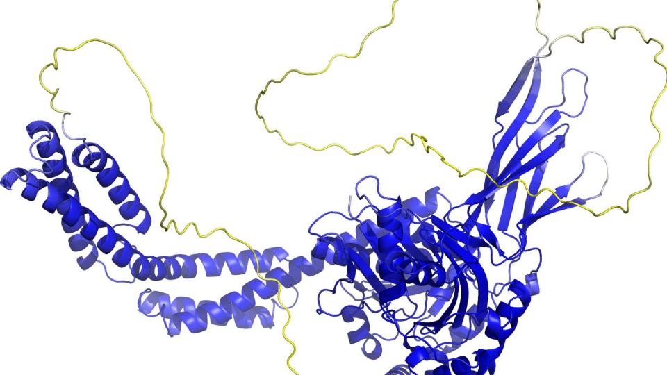 Schaubild 3D Struktur eines Proteins