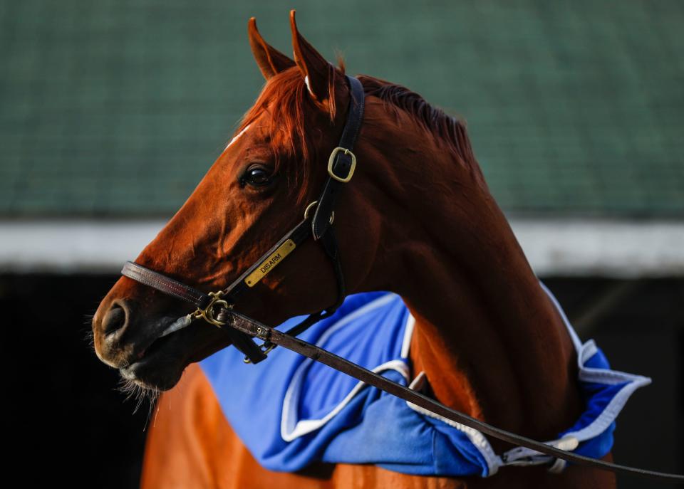 Kentucky Derby contender Disarm at bath time on the backside after a workout at Churchill Downs on Sunday morning, April 23, 2023 in Louisville, Ky. The horse is trained by Steve Asmussen and placed third in Grade 3 Lexington on April 15 at Keeneland.