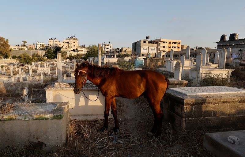 The Wider Image: Gaza struggles to accommodate the living and the dead as population grows