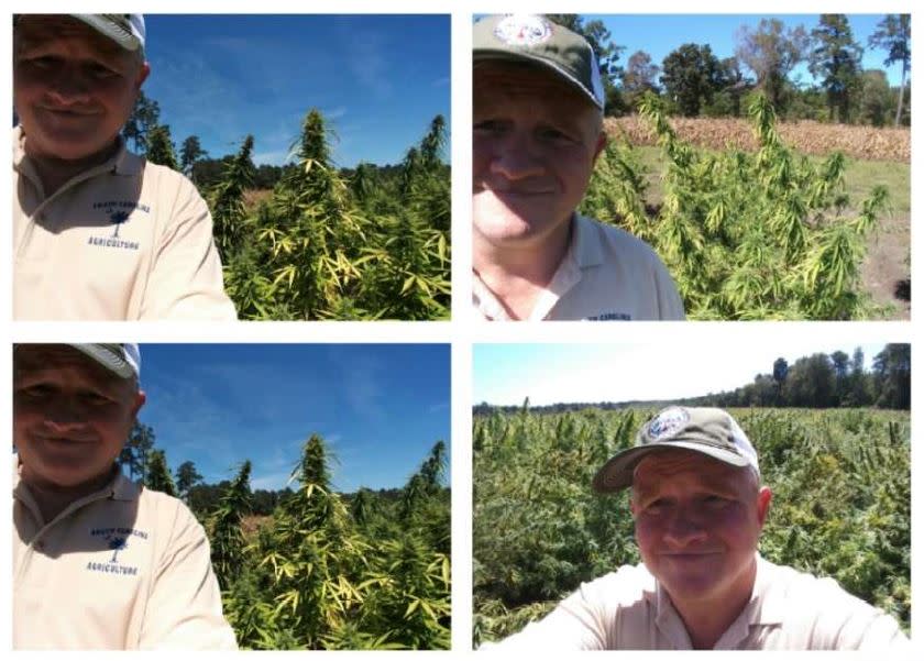 Trent Pendarvis’ legal team included this series of photographs showing a man identified as John Stokes taking selfies in the hemp field just before SLED and the SC Forestry Commission mowed the hemp field down on Sept. 19, 2019. (Source: Pendarvis lawsuit)