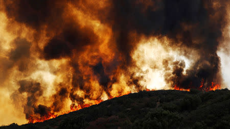 Wind-driven flames roll over a hill towards homes during the River Fire (Mendocino Complex) near Lakeport, California, U.S. August 2, 2018. REUTERS/Fred Greaves/Files