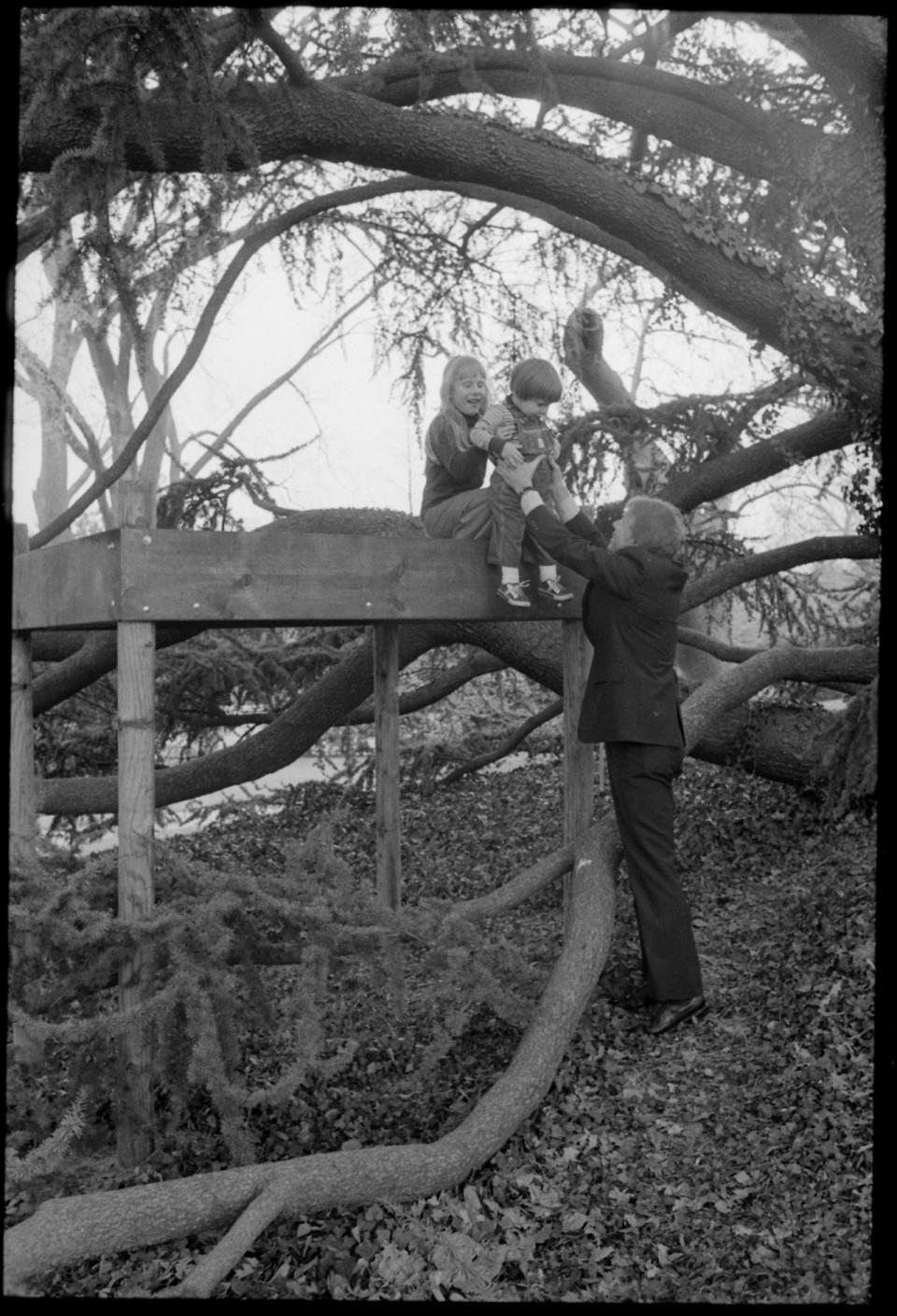 El sueño de cualquier niño (presidencial). Jimmy Carter hizo construir una casa en uno de los árboles del jardín para su hija Amy.