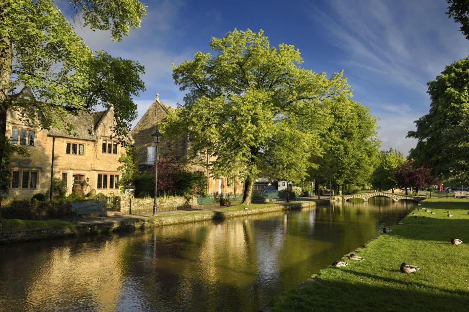 a pond with ducks in it and a building in the background