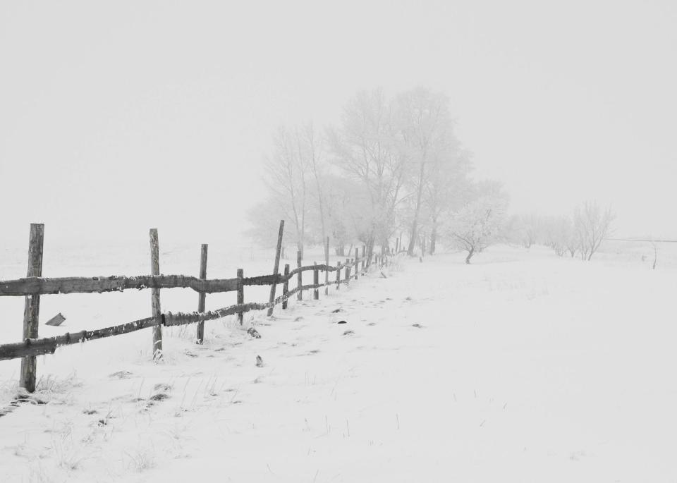 全台急凍，陽明山有望降雪。（示意圖，取自Pexels）