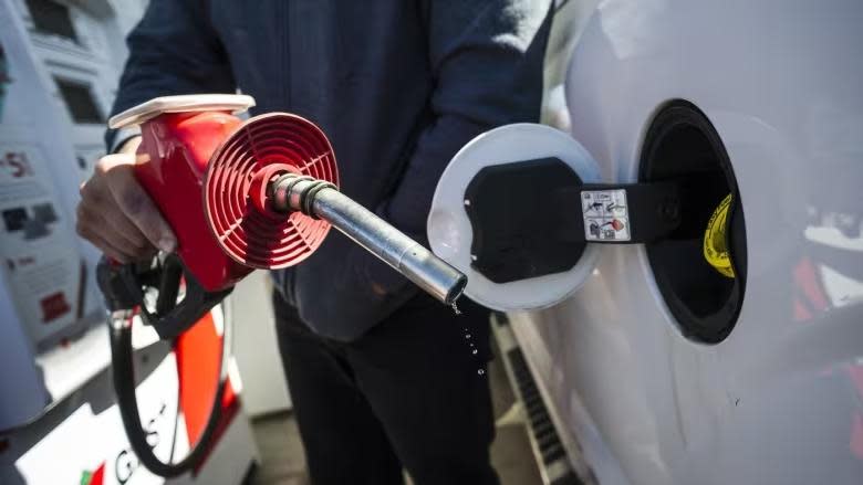 At the pump New Brunswick gasoline prices currently can include slightly more than five cents per litre in clean-fuel charges.   Critics say that may be four cents too much.  (Christopher Katsarov/The Canadian Press - image credit)