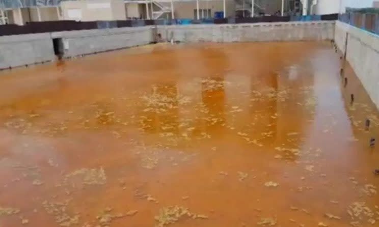 Eine Schande: Das Wasser im Pool des Aquatics Center ist jetzt orange und voller Algen (Foto: O Globo)