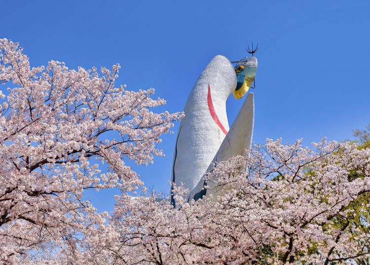 Enjoy cherry blossoms against the backdrop of the Tower of the Sun (as seen from behind)