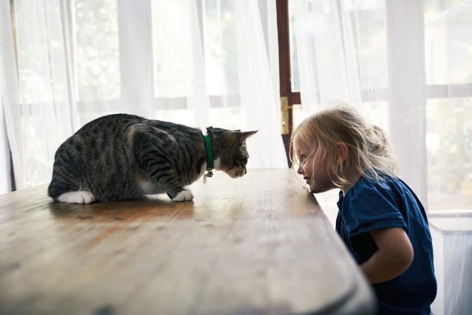 Even the most well-behaved pets have a tipping point. Source: Getty