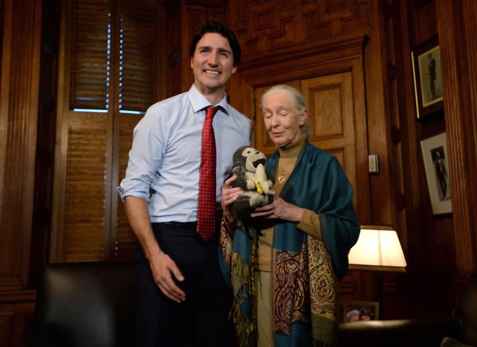 Prime Minister Justin Trudeau meets with Jane Goodall, British primatologist, ethologist, anthropologist, and UN Messenger of Peace in his office on Parliament Hill in Ottawa on Monday, April 11, 2016. THE CANADIAN PRESS/Sean Kilpatrick