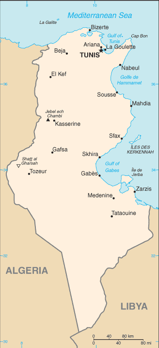 突尼西亞地圖，北方濱海的突尼斯（Tunis）是突國首都。（維基百科）