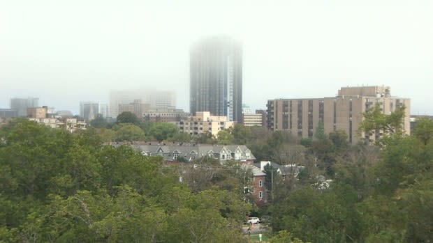 A new study shows that transported pollution from outside the province accounted for up to 63 per cent of harmful ozone levels in Halifax. (CBC - image credit)