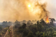 <p>The fire that burned 500 to 600 hectares of forest near Artigues in the Var, threatened homes on Tuesday. The firefighters stopped the progression of the fire that threatened homes in Seillons Source d’Argens, July 25, 2017. (Lilian Auffret/SIPA/REX/Shutterstock) </p>