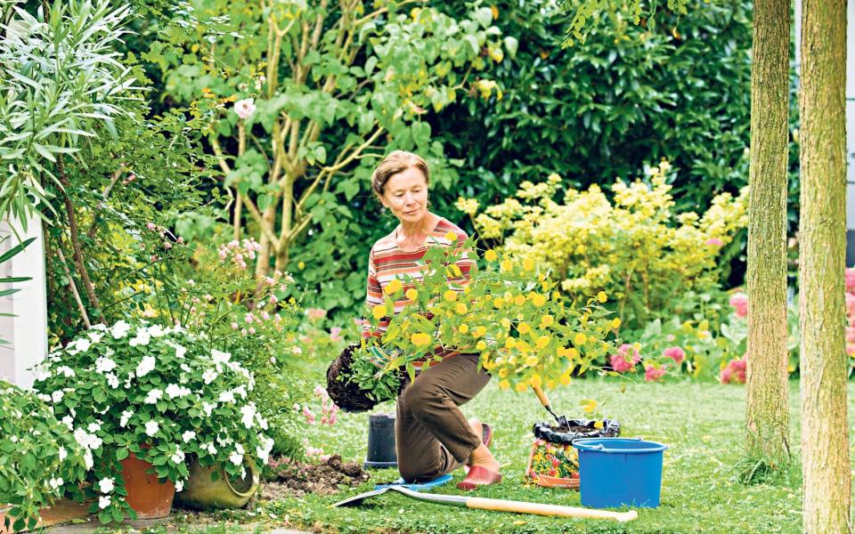 Best foot forward: with any luck, September will bring good weather for gardening before the more extreme weather arrives for winter - Alamy