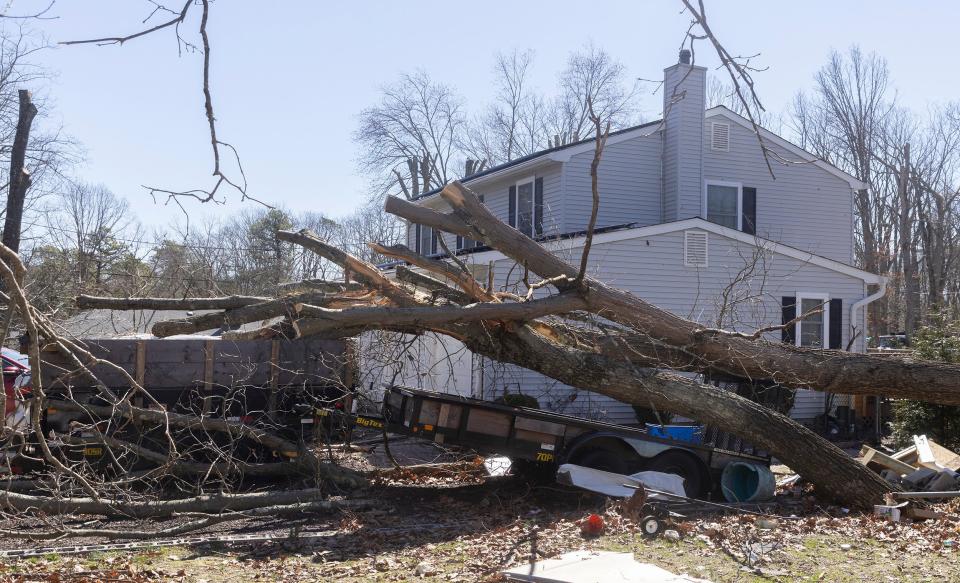 Trees were uprooted and buildings damaged Saturday night on Lombardi Street. The National Weather Service confirmed Sunday that a tornado hit the area.