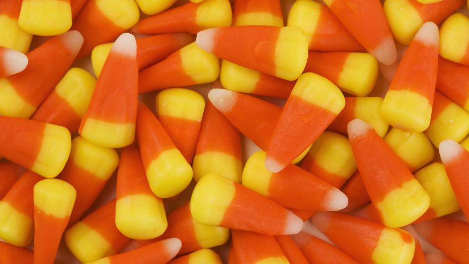 still life of candy corn