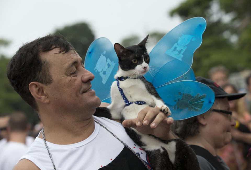 Un hombre lleva a su gato al Blocao, el carnaval de perros en Río de Janeiro, Brasil, el domingo 16 de febrero de 2014. (Foto AP/Silvia Izquierdo)