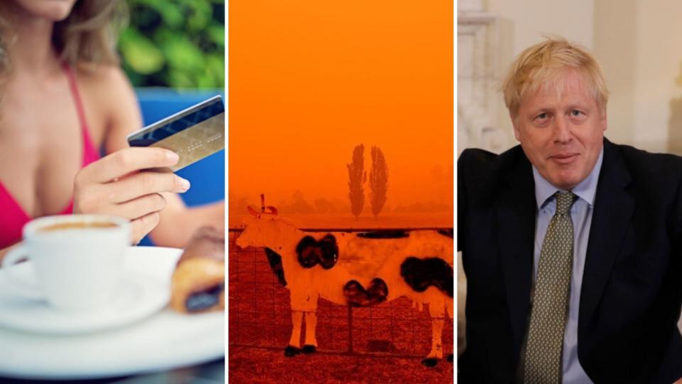 Woman using credit card, a cow in red bushfire skies and Boris Johnson. 
