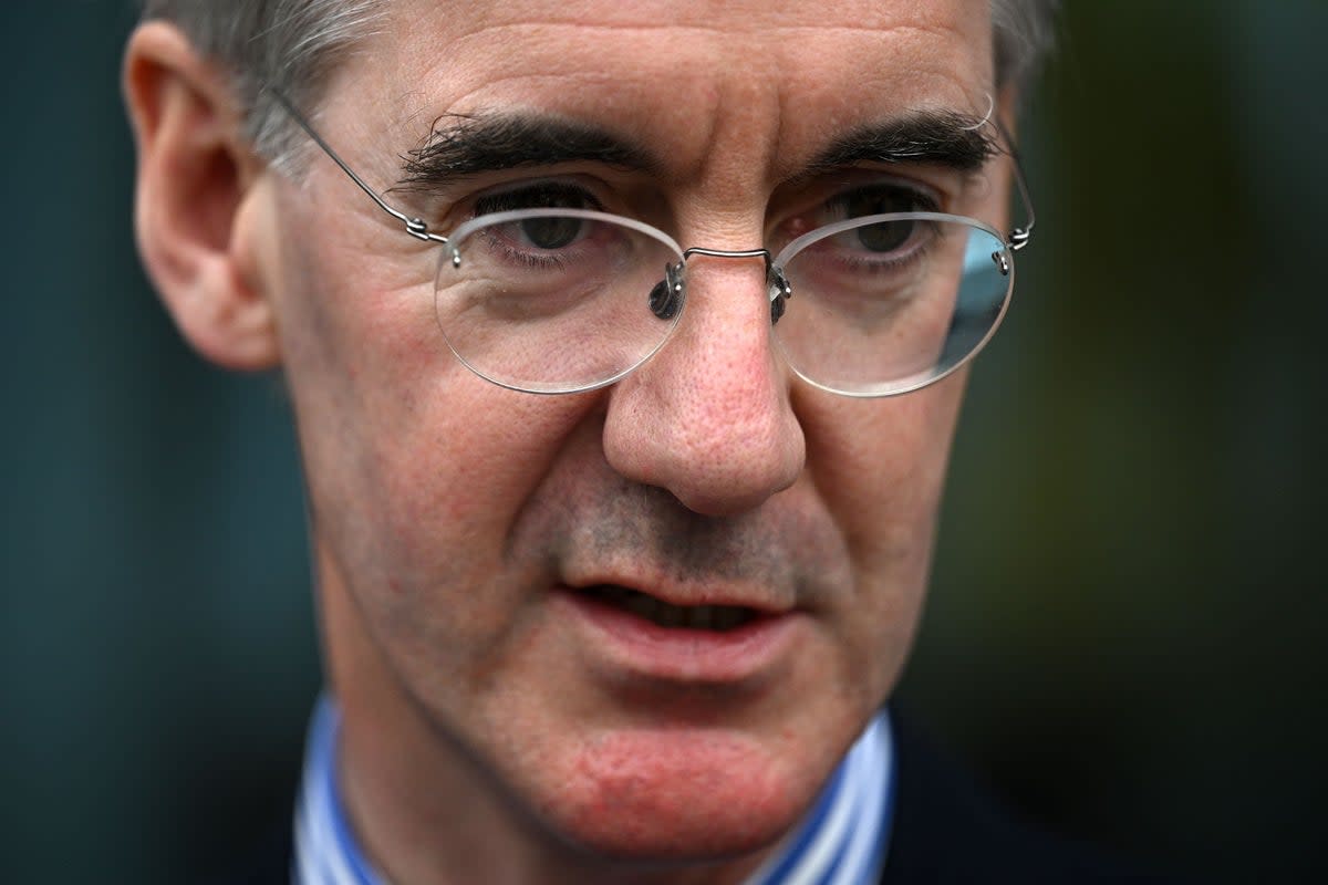 The Retained EU Law Bill was drawn up by Jacob Rees-Mogg when he was business secretary  (AFP via Getty Images)