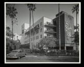 <p>Williams was hired in 1941 to renovate and add to the Beverly Hills hotel, which needed an overhaul after the Depression. He worked on the project throughout the decade and much of the hotel today is still his design, including the signature reception area with the loopy Beverly Hills script. </p><p><strong>More: </strong><a href="https://www.townandcountrymag.com/leisure/travel-guide/a30795376/beverly-hills-hotel-bungalows/" rel="nofollow noopener" target="_blank" data-ylk="slk:The Beverly Hills Hotel Has Restored its Iconic Bungalows;elm:context_link;itc:0;sec:content-canvas" class="link ">The Beverly Hills Hotel Has Restored its Iconic Bungalows</a></p>