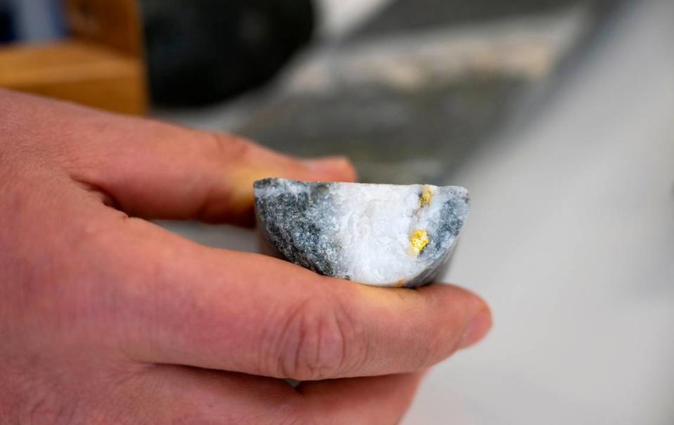 Gold sparkles amid a vein of quartz in an exploratory drilling sample from the Idaho-Maryland Mine held by Rise Gold Corp. CEO Ben Mossman in his Nevada County office. The mine produced more than 120,000 ounces of gold in 1940-41, its last year of full-scale operation before it closed for World War II. That amount would be worth about $240 million at current trading prices.