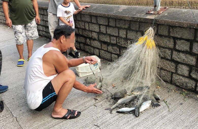 捕魚男子一網便有10多條魚，他稱魚獲不會進食，只會製作成飼料。