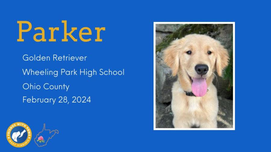Parker – Ohio County Wheeling Park High School Therapy Dog – Photo Courtesy: First Lady Cathy Justice