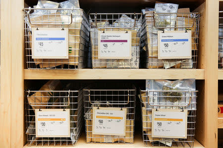 FILE PHOTO: Different strains of marijuana are seen for sale at Harborside, one of California's largest and oldest dispensaries of medical marijuana, on the first day of legalized recreational marijuana in Oakland, California, U.S., January 1, 2018. REUTERS/Elijah Nouvelage/File Photo