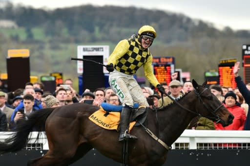 Al Boum Photo, ridden by Paul Townend, gave Irish training great Willie Mullins his first Cheltenham Gold Cup after years of near misses