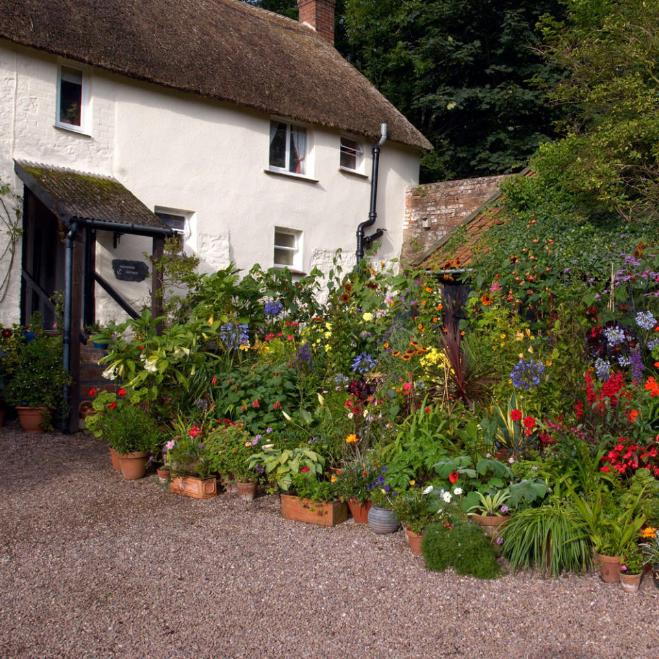 Fill a forecourt with a large-scale potted display