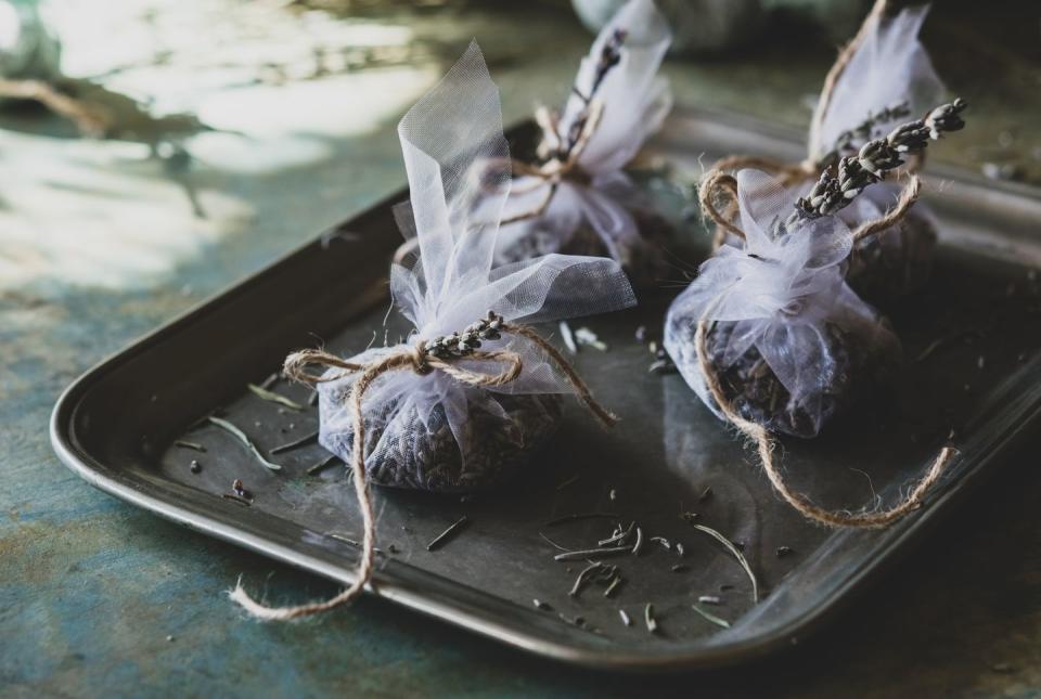 english lavender plants how to dry