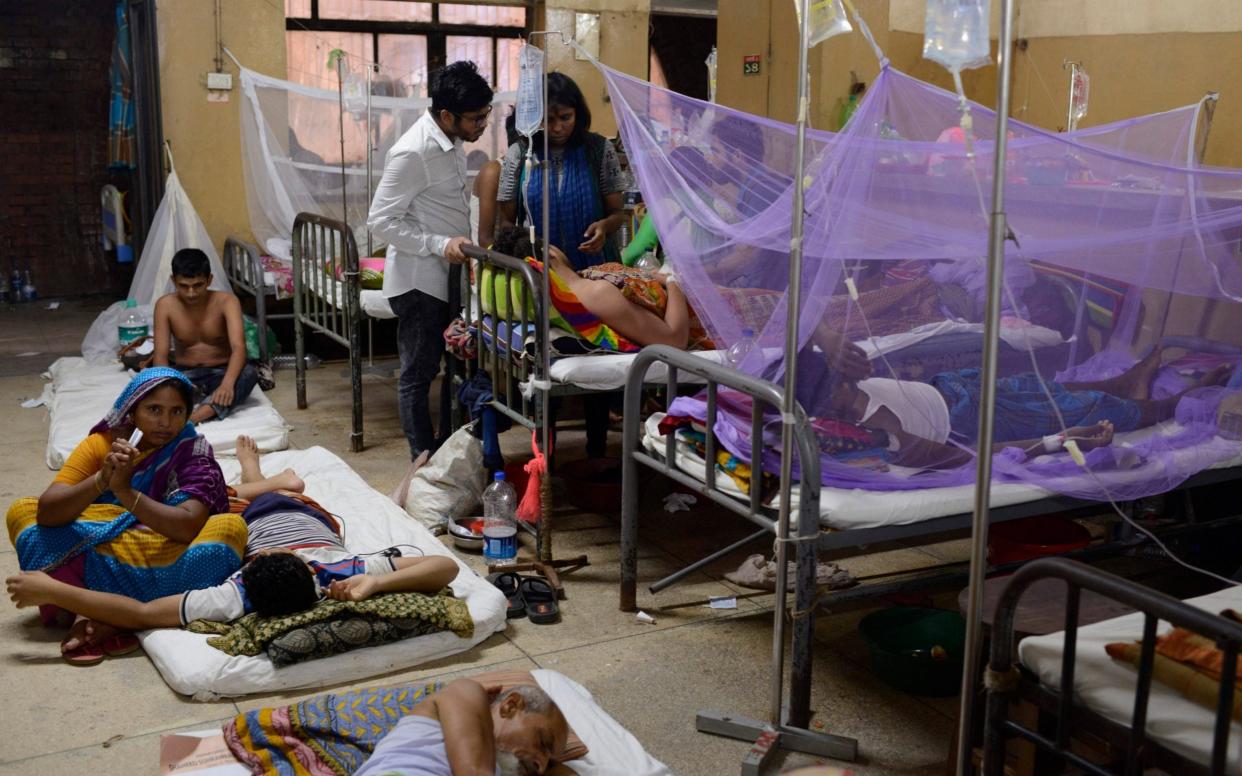 Patients in a hospital in Bangladesh which suffered its worst ever dengue outbreak earlier this year - AP