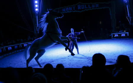 An horse trainer of Rony Roller Circus performs during a show offered by Pope Francis to needy persons in Rome, Italy January 14, 2016. REUTERS/Tony Gentile