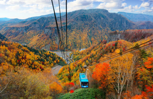 日本最早紅葉！北海道賞楓時間、必去景點一次看