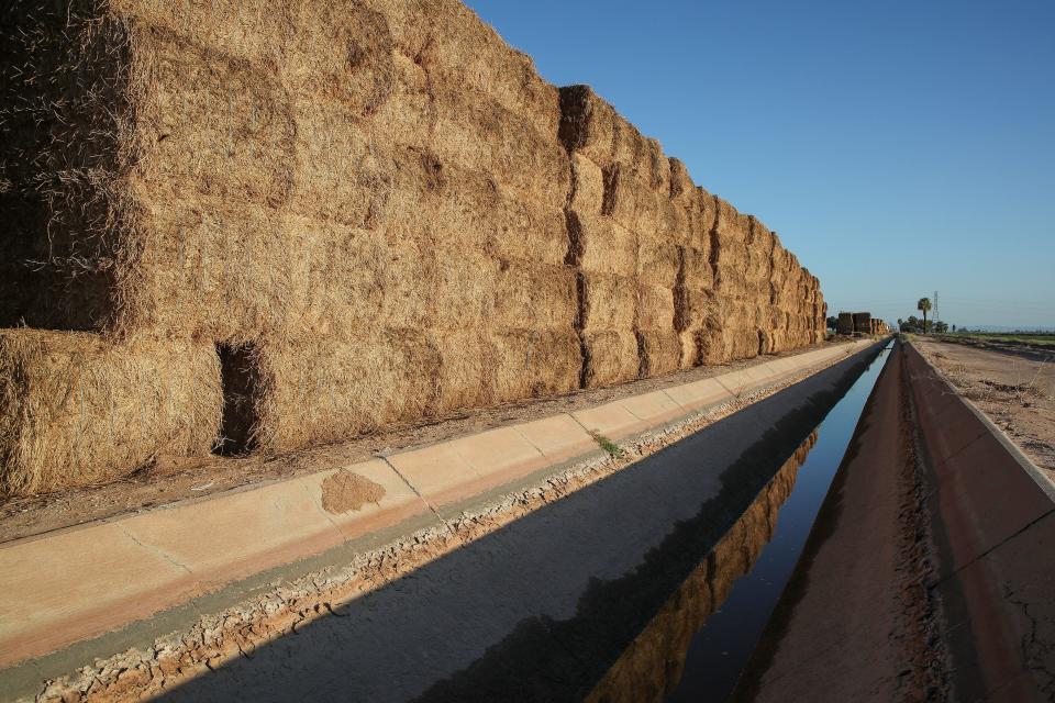 Haystacks of alfalfa are stored next to an irrigation canal on farmland in Holtville, Calif., Sept. 6, 2023.