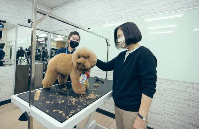 蔡英文讚賞寵物店提供寵物美容服務。（總統府提供）