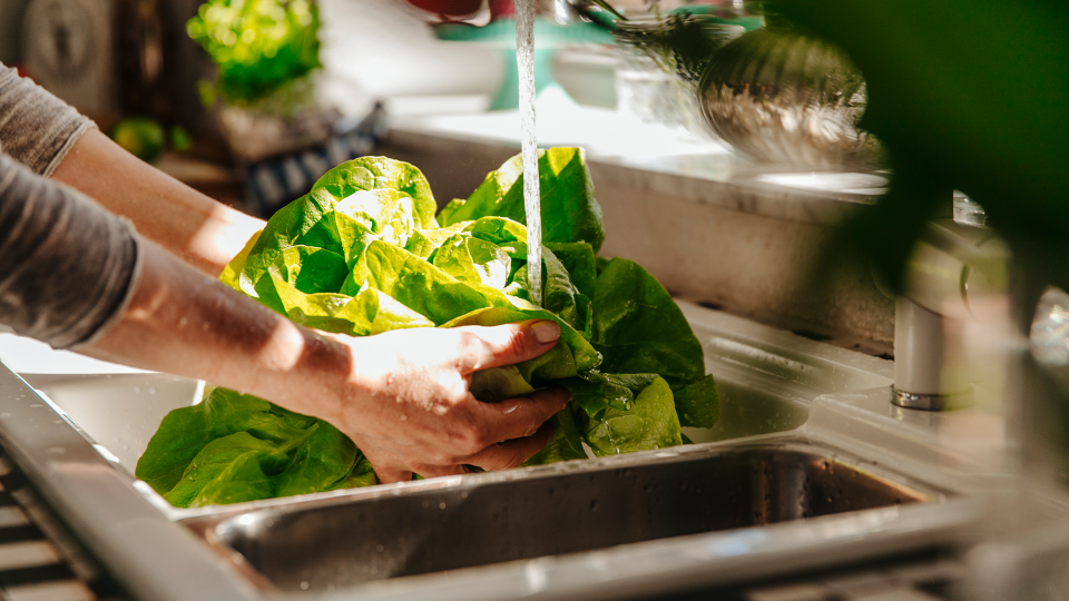 Is it safe to eat unwashed lettuce? Experts explain why it&#39;s important to take proper precautions when it comes to leafy greens in the kitchen. (Photo: Getty)