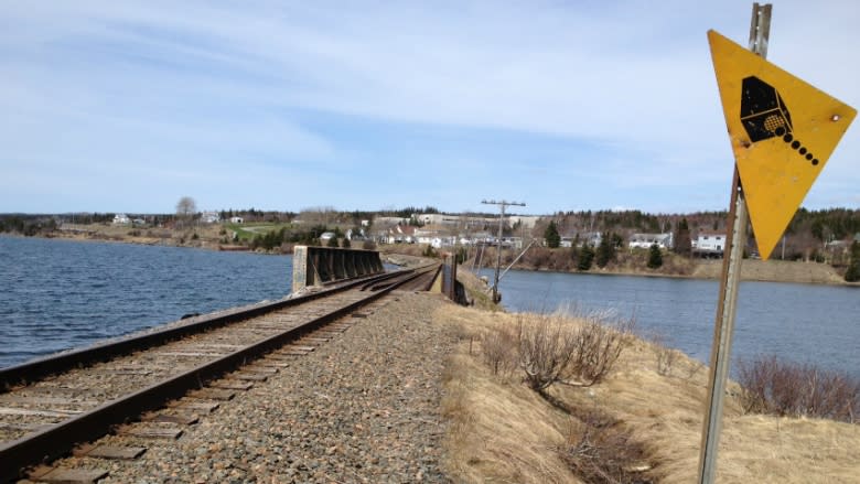 Defunct Cape Breton rail line 'very likely' to keep $60K monthly subsidy