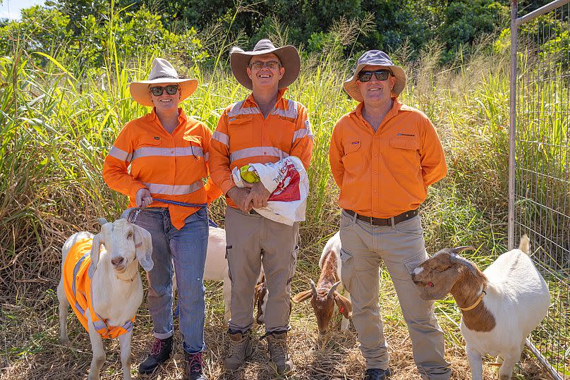 After discussions with landscaping contractors Norveg, Withers decided to experiment with goats.