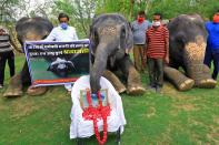 Elephant Village Development Society President Ballu Khan along with elephants and mahouts pay tribute to a wild pregnant elephant who recently killed in Kerala, at Elephant Village in Jaipur,Rajasthan,India, June 4, 2020. (Photo by Vishal Bhatnagar/NurPhoto via Getty Images)