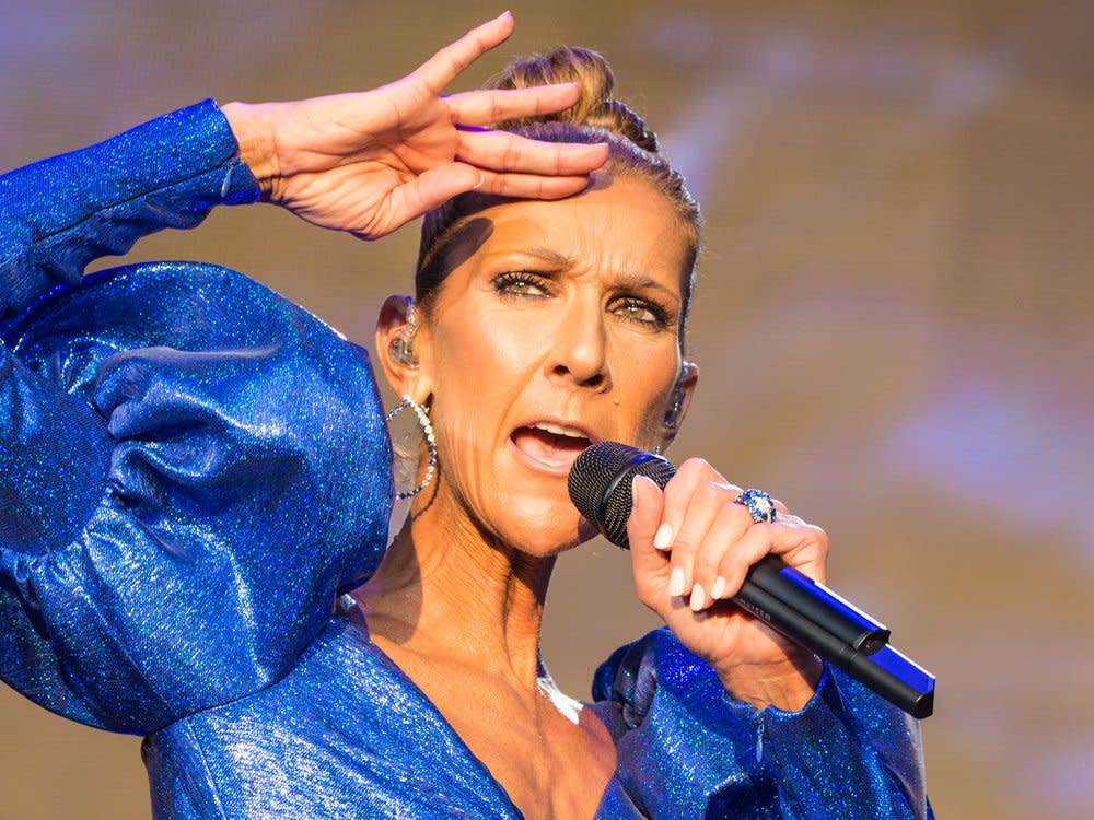 Céline Dion soll trotz ihrer schweren Erkrankung hart dafür arbeiten, noch einmal auf der Bühne stehen zu können. (Bild: Tom Rose/Shutterstock.com)