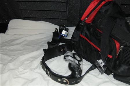 Leather restraints are shown in a July 27, 2012 handout photo released by the U.S. Attorney's Office after a search warrant was executed at the Worcester, Massachusetts house of Geoffrey Portway, 40. REUTERS/U.S. Attorney's Office/Handout via Reuters