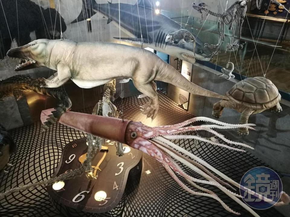 吊掛各式生物模型的「演化的天空」成為館內最具看頭的展示。