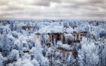 <p>The town of Pripyat, Ukraine. (Photo: Vladimir Migutin/Caters News) </p>