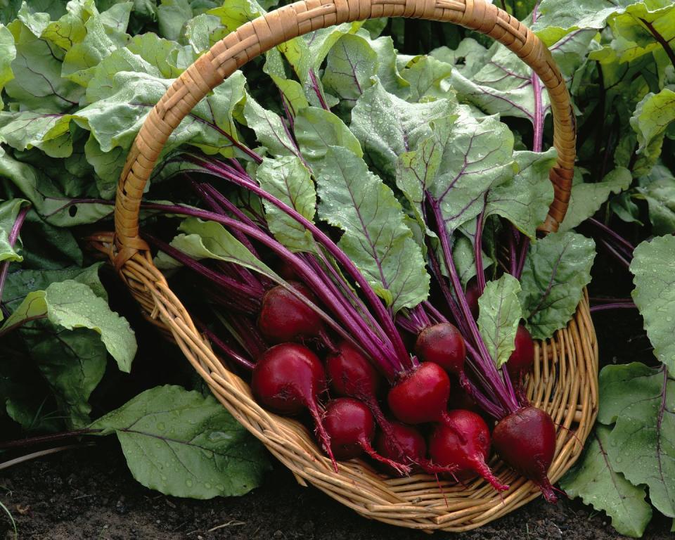 summer vegetables beets