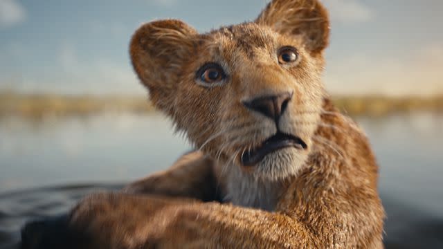 <p>Disney</p> Mufasa in 'Mufasa: The Lion King'