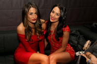 <p><span>It only took 12 years for Nikki and Brie Bella to build an empire. Before “Total Divas” and “Total Bellas,” the twins both started as waitresses at a California Hooters restaurant.</span> </p>