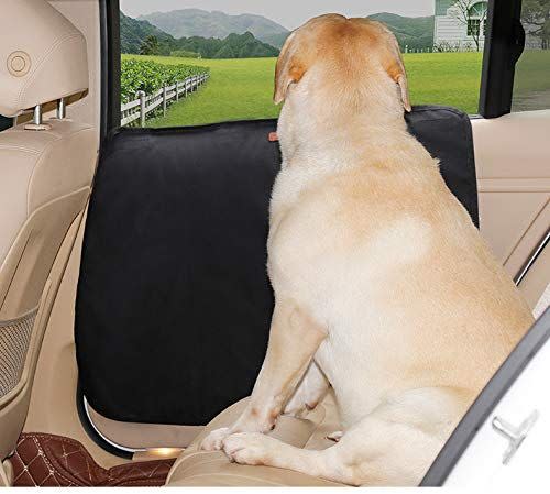 Protect Your Car Door from Pet Scratches