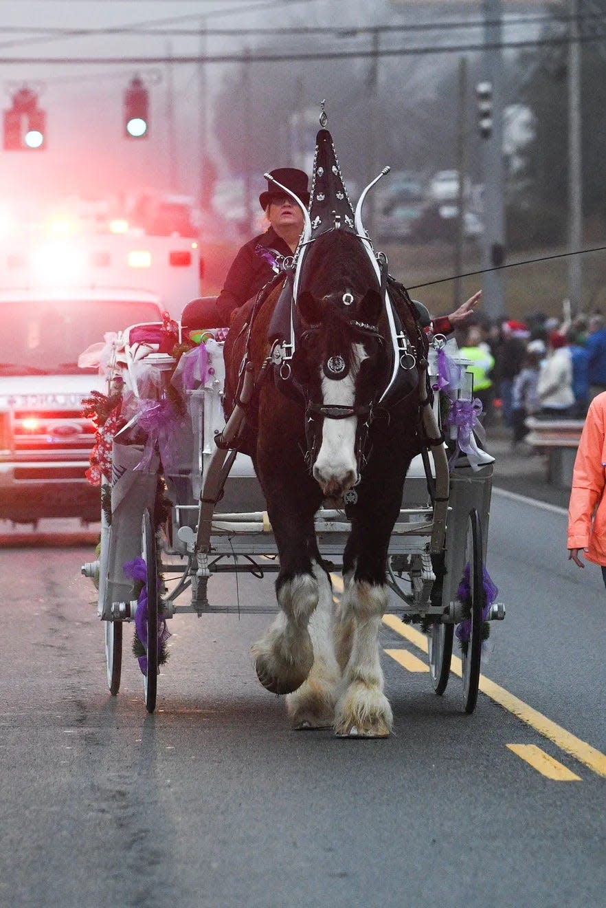 Cynthia Conner and Dino lead off the Christmas Parade in Karns carrying Grand Marshal Mike Gordon.