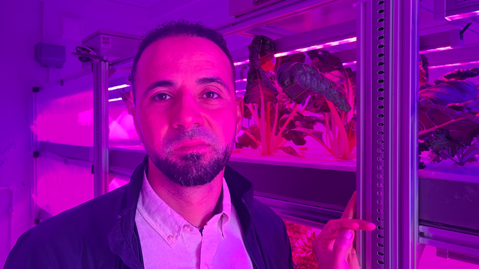 Researcher with vegetables in vertical farm