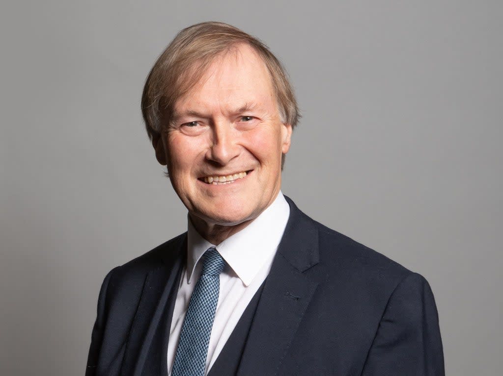 Conservation MP Sir David Amess died after being stabbed during a constituency surgery in Leigh-on-Sea, Essex (UK Parliament/AFP via Getty Images)